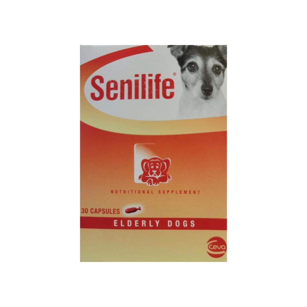 5-7.jpg Senilife for elderly dogs